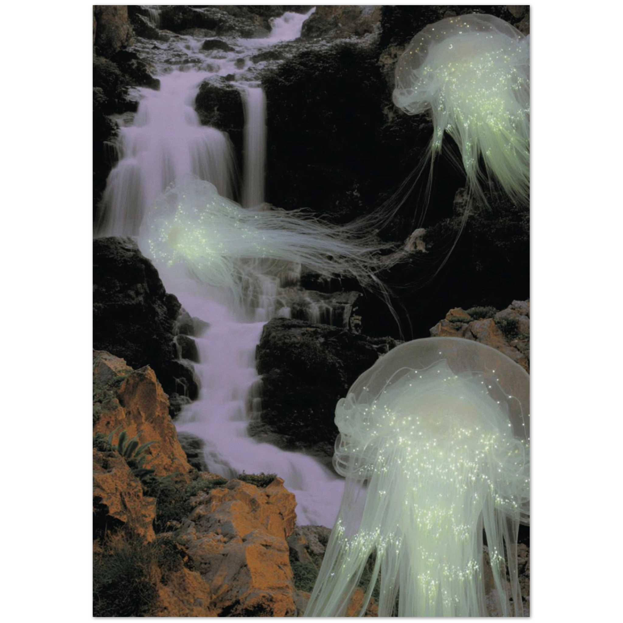 Close-up of the Waiting 01×10 print’s edtion number and artist signature on the lower corner, highlighting authenticity