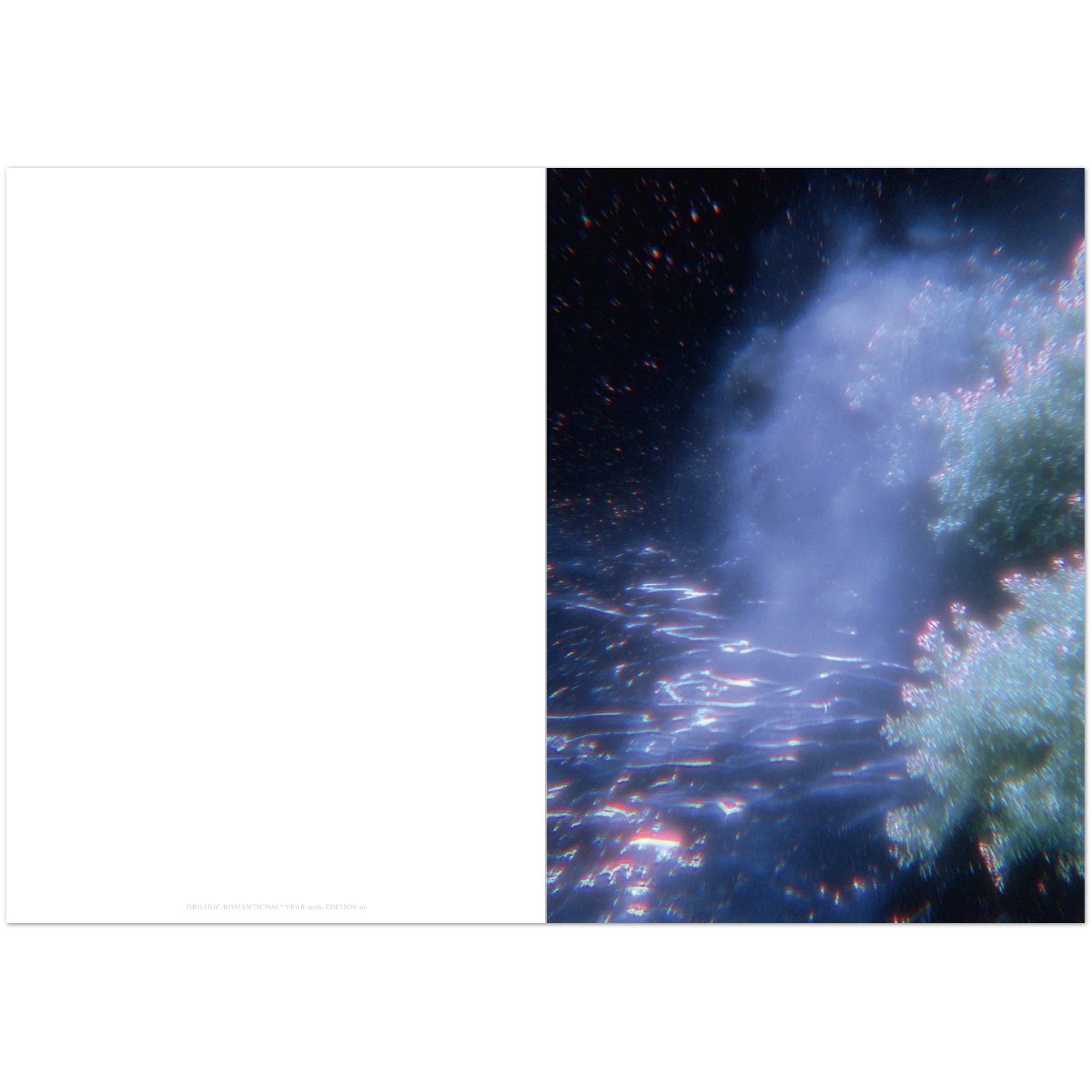 Close-up of the print's textured paper surface highlighting subtle ink gradations and fine artist brushwork details.