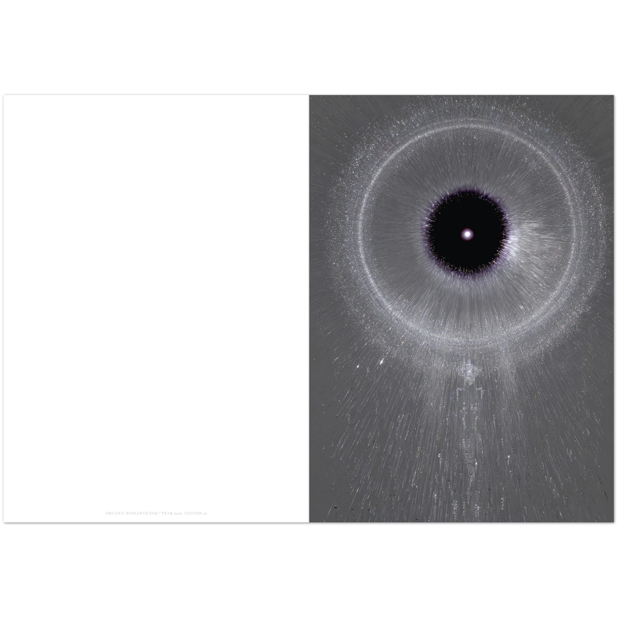 Close-up of the print’s textured paper surface highlighting the artist’s signature and edition number in fine detail.