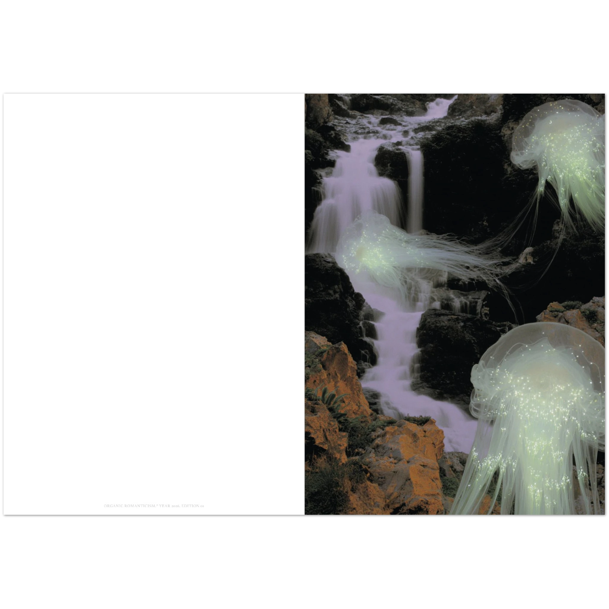 Close-up of the printed edition number and artist signature on Waiting 01×10 artwork, showcasing the delicate texture and