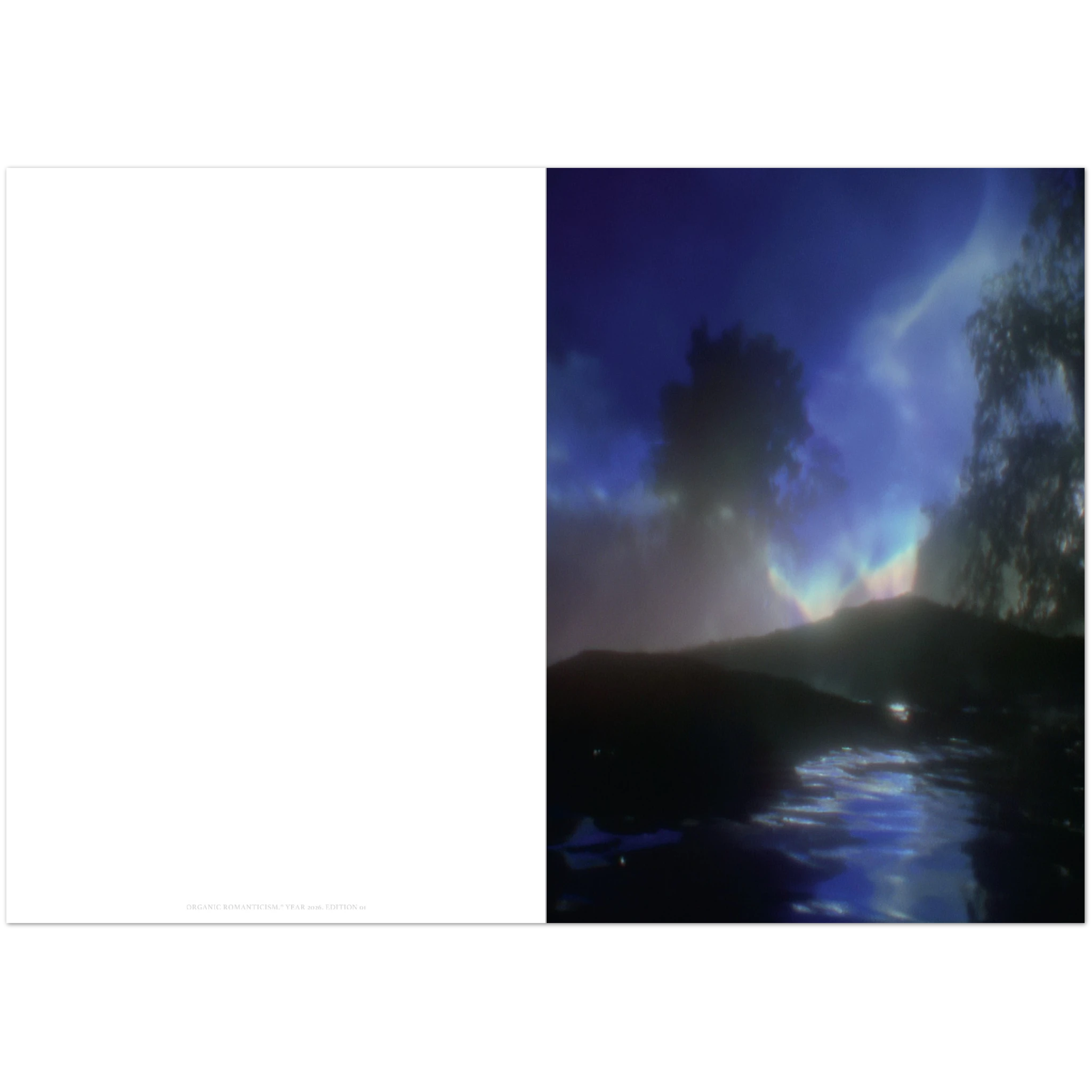 Close-up of the textured paper surface revealing subtle grain and ink detail, highlighting the print’s delicate finishing